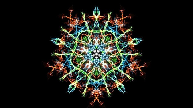 猫那么爱干净,却为什么不喜欢洗澡?